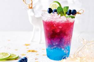 Blueberry crusher