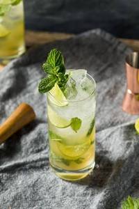 Lemon Mint Mojito