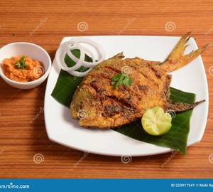 Pomfret  Fry