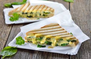 Double Cheese Sandwich