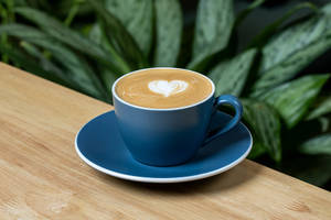 Cappuccino