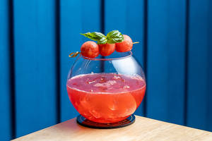 Melon Oasis Elixir
