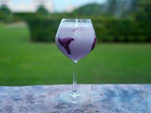 Bewitching Blueberry Shake