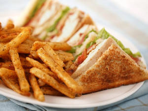 American Grilled Sandwich