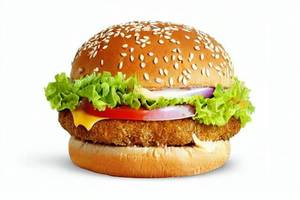 Mexican Cheese Burger