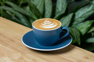 Spanish Latte
