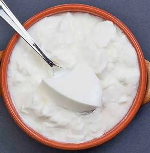 Full Fat Dahi / Curd