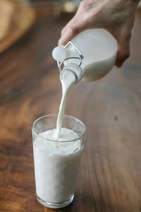 Cow Milk