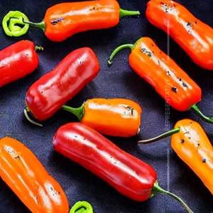 Stuffed Capsicum