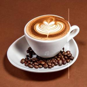 Cappuccino                    