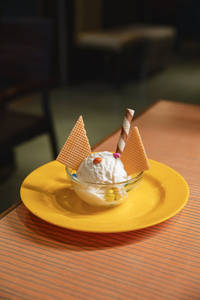 Vanilla Icecream