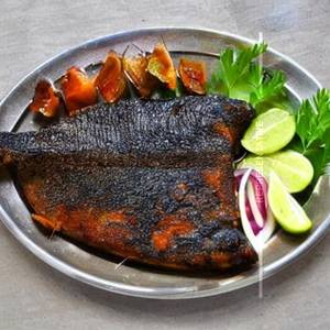Pomfret Tawa Fry