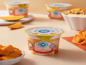 Mango Yoghurt (90 gm)