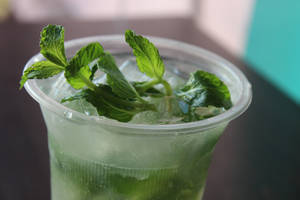 Mojito