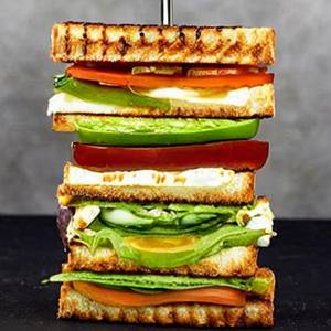 Paneer Cheese Grilled Sandwich