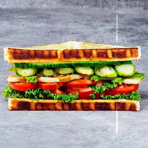 Veg Grill Sandwich