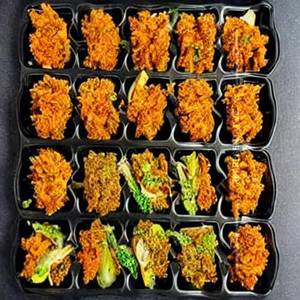 Veg Crispy
