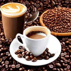 Ness Coffee