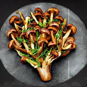 Dragon Mushroom