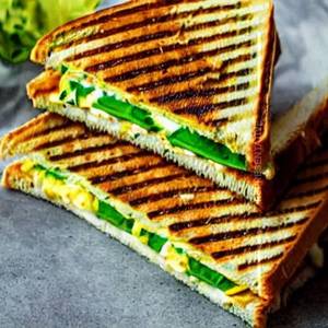 Palak Paneer Grilled Sandwich