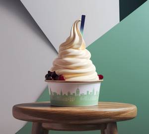 Velvety Vanilla Yogurt