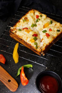 Melting Cheese Veg Cheese Sandwich