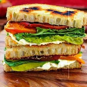 Veg Paneer Grilled Sandwich