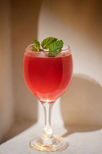 Watermelon Mint Sharbat