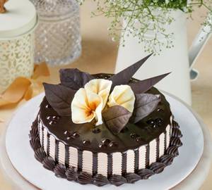 Budding Choco Leaf Cake 450 Gm