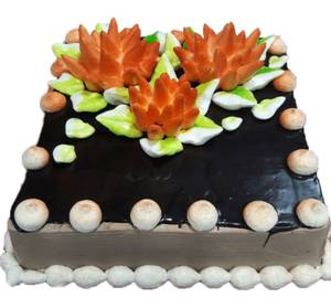 Choco Lotus Cake 450 Gm
