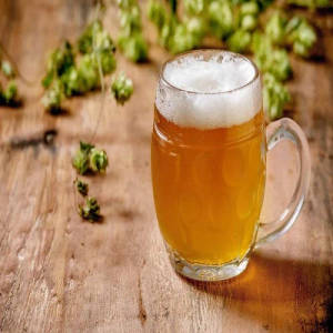 Fruit Beer