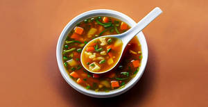 Chicken Vegetable Soup