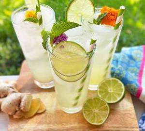 Elaneer Mint Lime With Ginger Juice (Large)