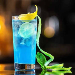Bluerberry Mojito