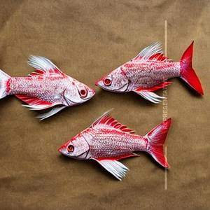 Red Paper Fish