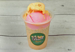 Mix Ice Cream Falooda