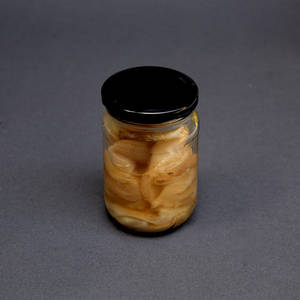 Kombucha Kit
