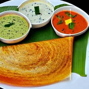 Cheese Chilli Dosa 