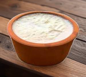 Plain Dahi