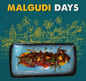 Malgudi Days 10pcs