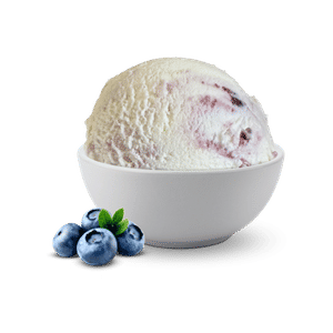 Greek Yogurt Blueberry