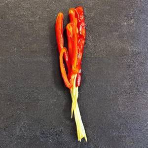 Tomato Onion Fry
