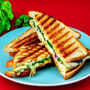 Pattice Cheese Grilled Sandwich