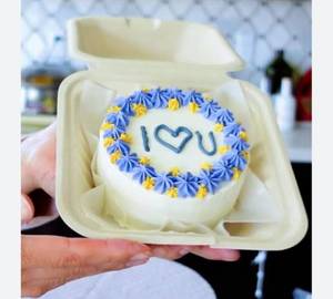 Chocolate Bento Cake