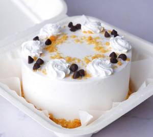 Chocolate Chocochips Bento Cake