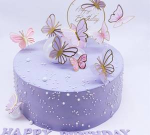 Chocolate Chocochips Butterfly Birthday Cake
