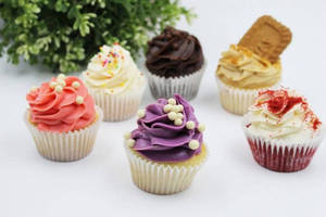 Assorted Cup Cake 6pcs