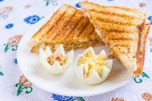 Cheesey sandwich