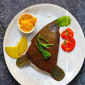 Apollo Fish