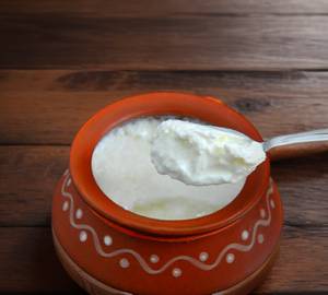 Plain Curd